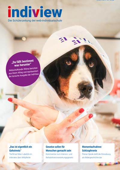 Cover IndiView 