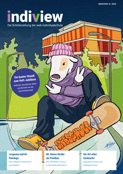 Cover IndiView 