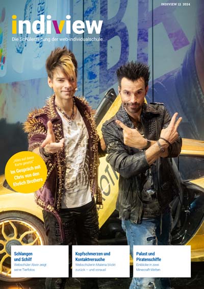 Cover IndiView 