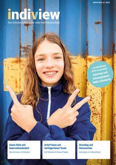 Cover IndiView 